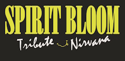 SPIRIT BLOOM